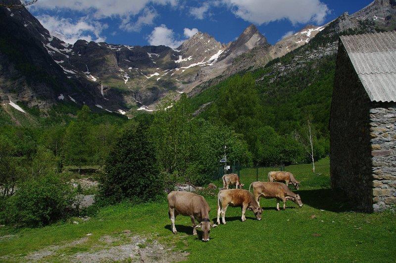 Bungalows Pena Montanesa Aínsa Esterno foto